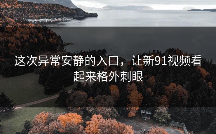这次异常安静的入口，让新91视频看起来格外刺眼